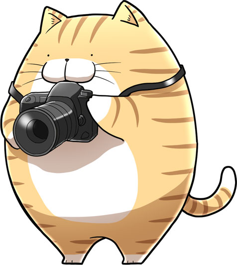 イメージイラスト